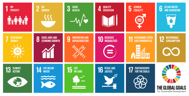 UN SDGs