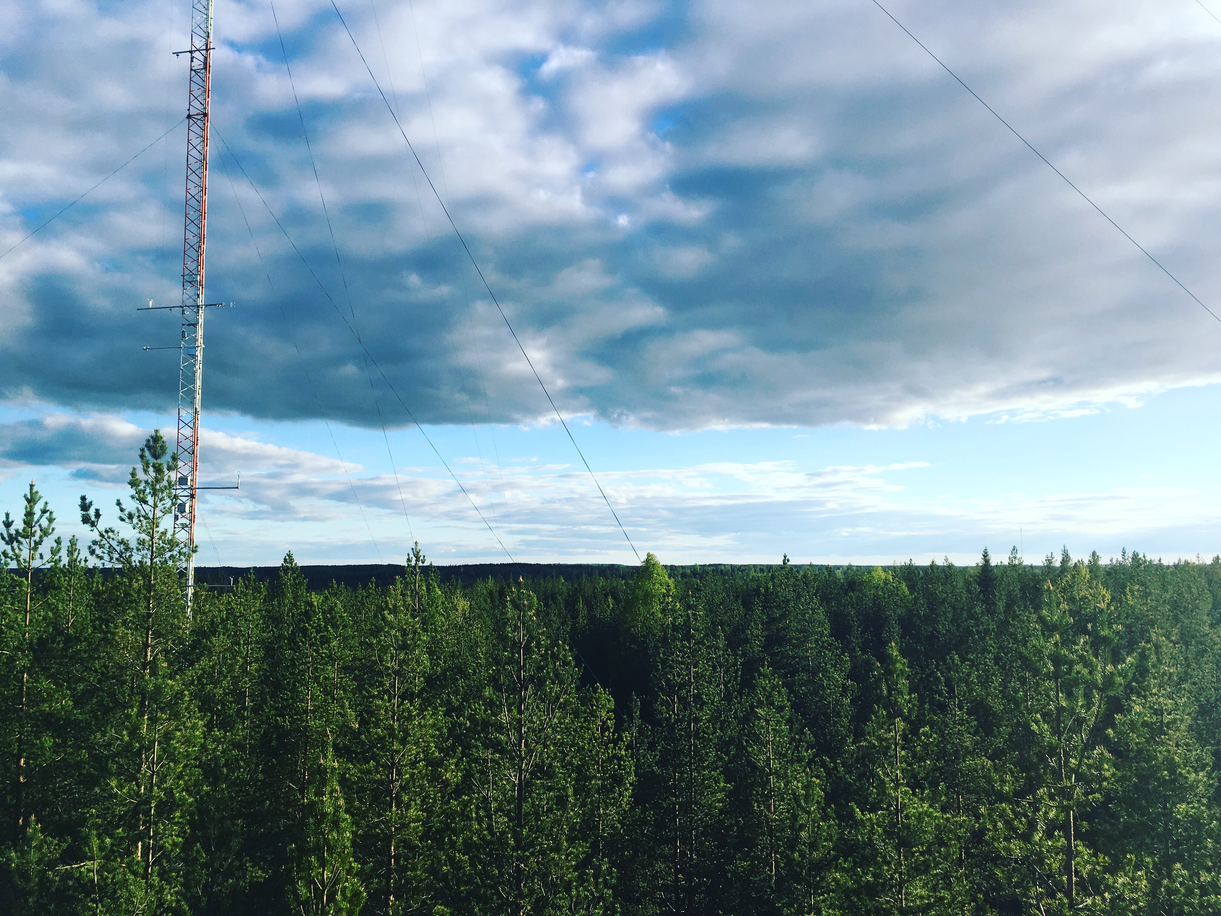 Hyytiala_main_tower_truls_Andersen_2